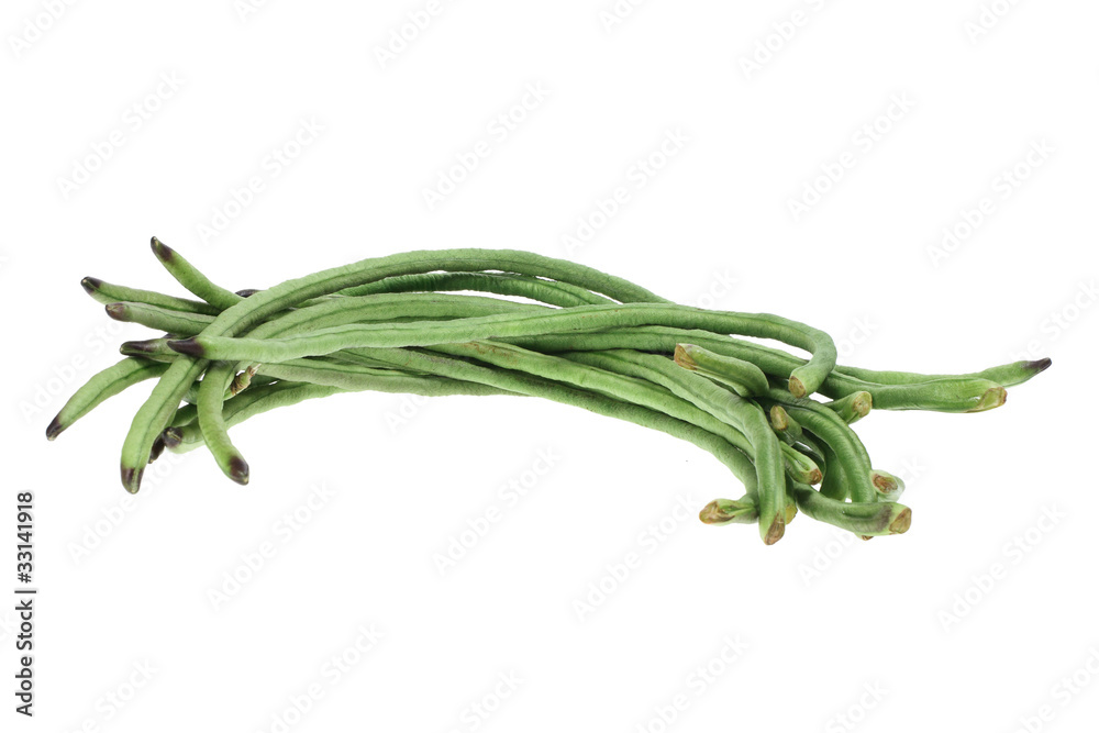 Fototapeta premium Snake Beans