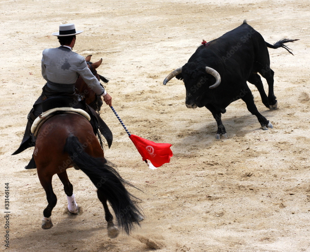 corrida corrida