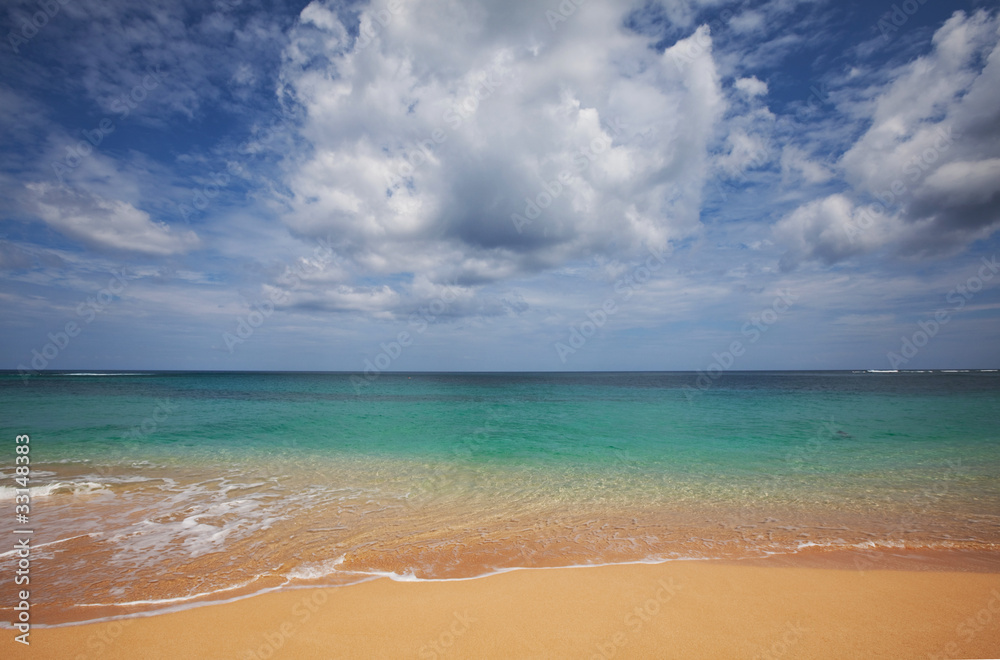 Fototapeta premium Beach