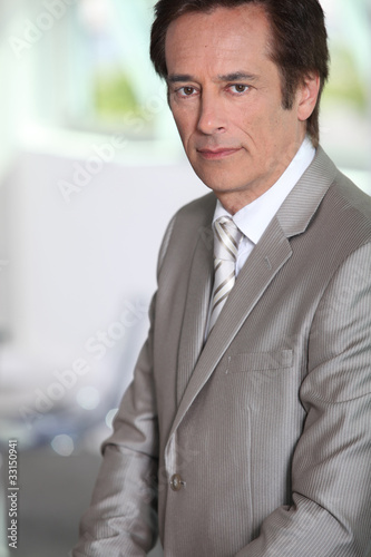 Portrait of male executive