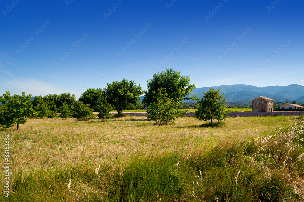 paysage et campagne provençale paysage et campagne provençale