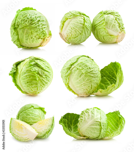 collection of cabbage images