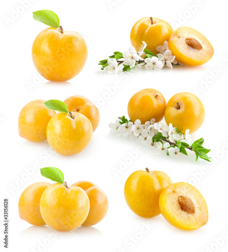 set of yellow plums images