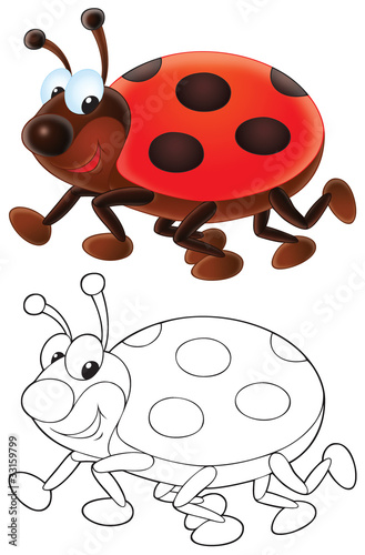 Ladybug