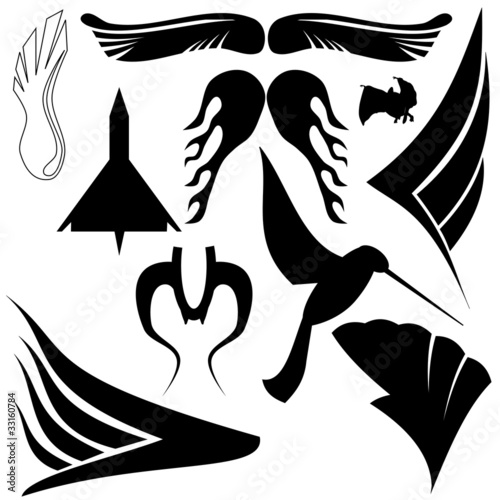 Wings, vector illustration