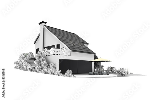 detached house in black and white photo