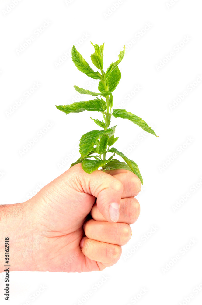 Ecologie Ecologie