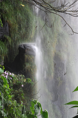 ragnatele vicino alle cascate di iguasu photo