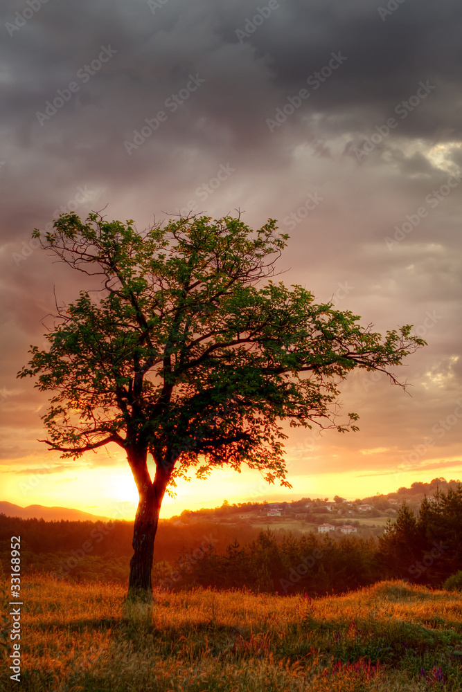 Sunset in Bulgaria Mountains