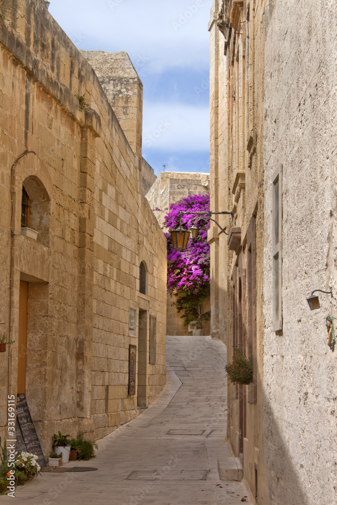 narrow road with flowers