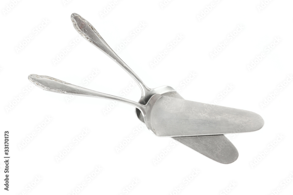 Obraz premium Spoon