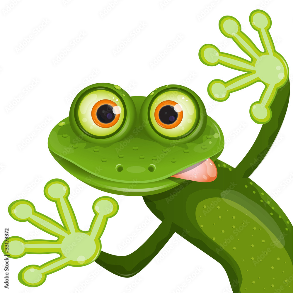 Obraz premium żaba