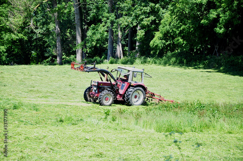 Trecker auf der Weide