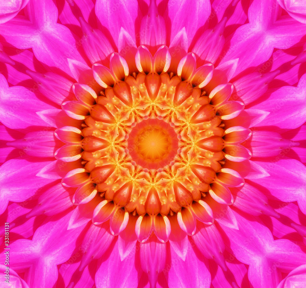 Obraz premium Flower Kaleidoscopic Background