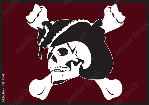 Pirate flag
