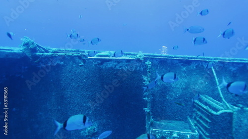 Zenobia ship wreck with school of small silver fishes, Cyprus