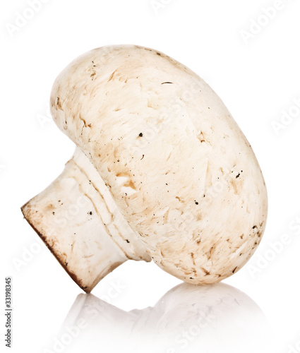 mushroom isolated on white