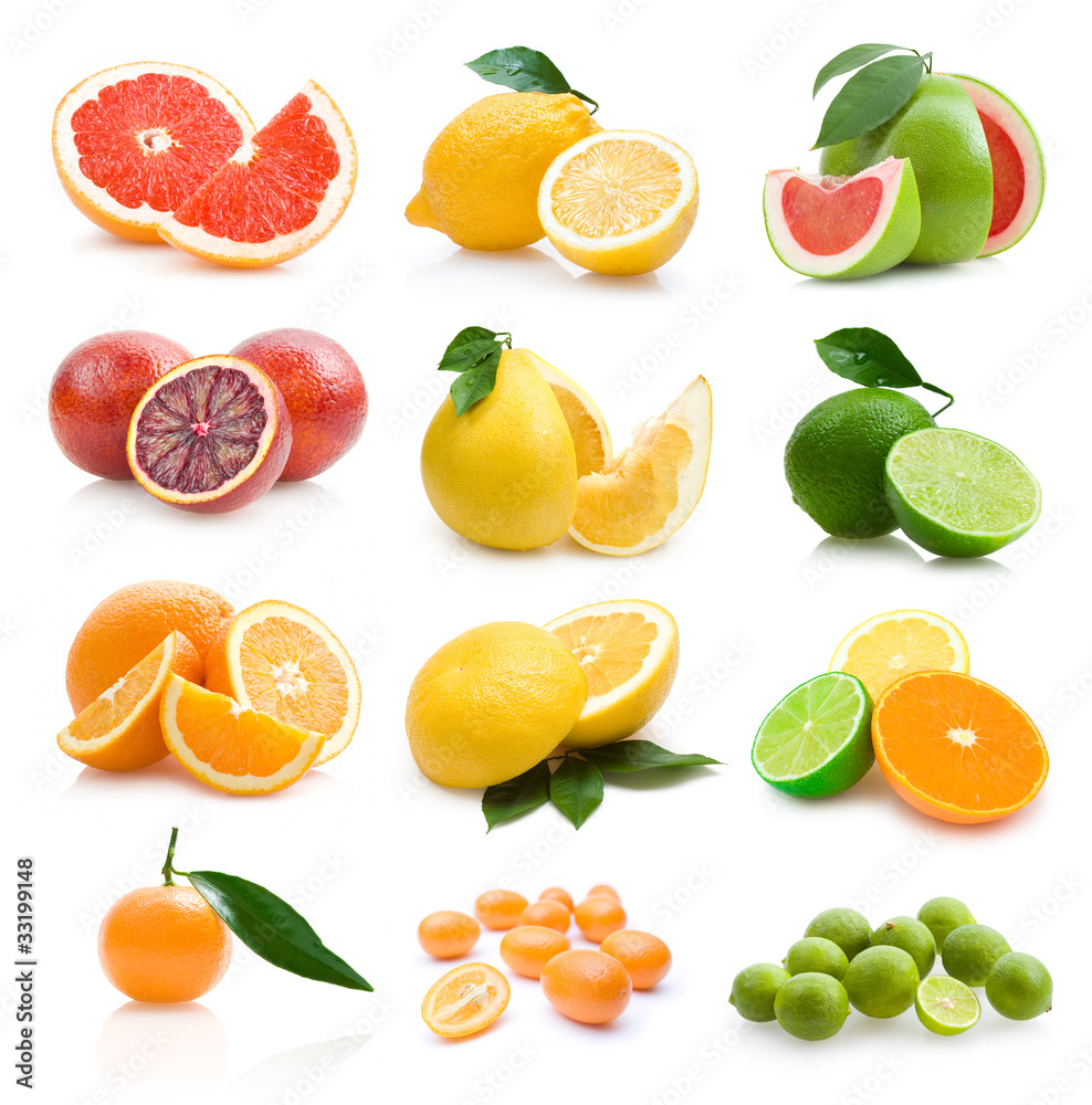 set of 12 different citruses