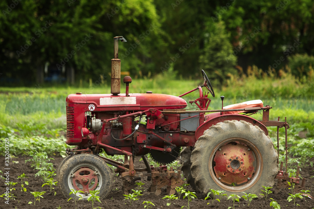 Fototapeta premium old tractor