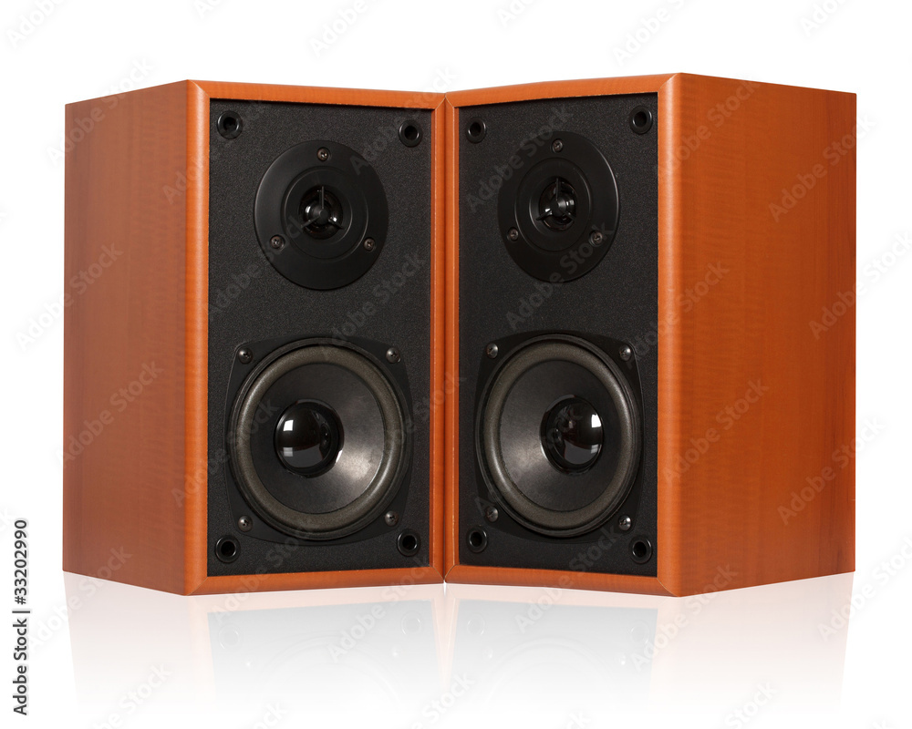 wooden loudspeaker isolated on white with reflection