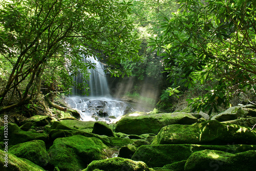 A large waterfall is hidden by lush foliage and mossy rocks