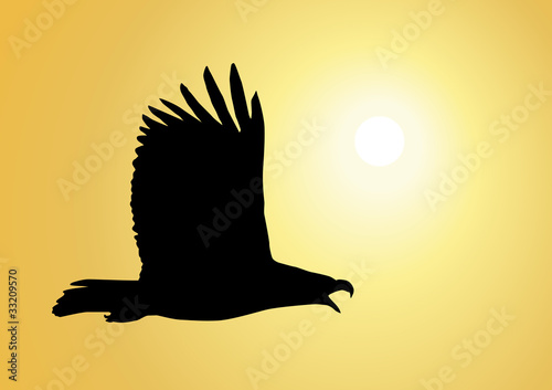 Aigle_Soleil_1