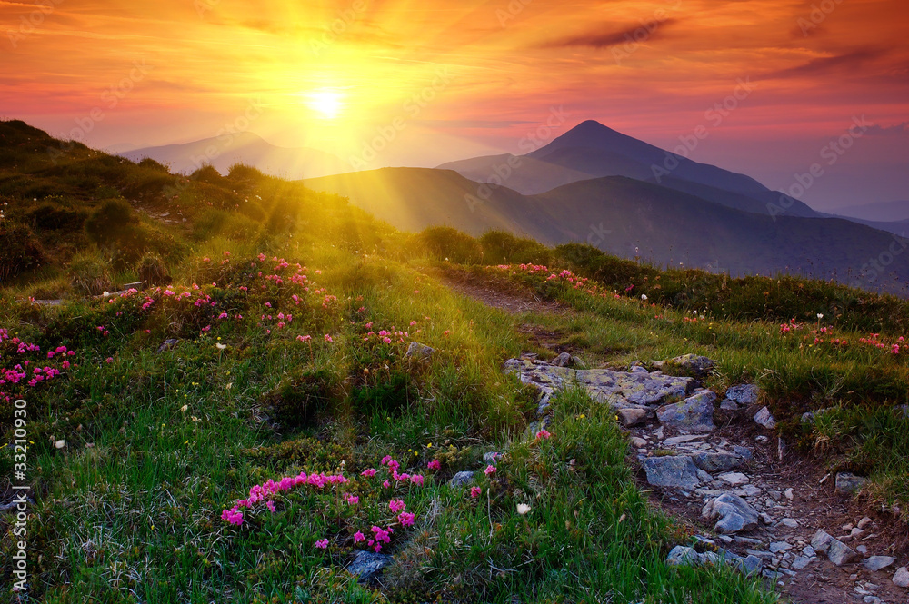 Fototapeta premium Summer landscape