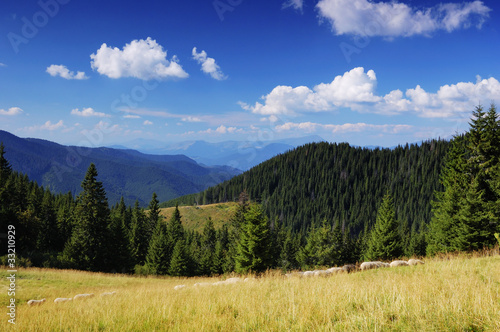 Summer landscape in mountains a sunny day