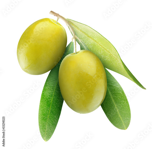 Isolated olives. Two green olives on branch with leaves isolated on white background
