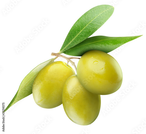 Isolated olives. Three green olive fruits on branch with leaves isolated on white background