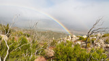 Rainbow in California's Anza-Borrego Desert State Park