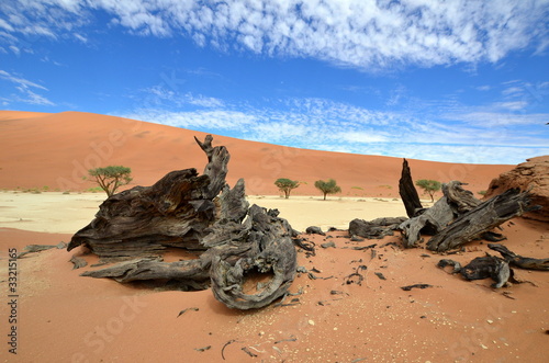 desert Namib in Namibia © gallas