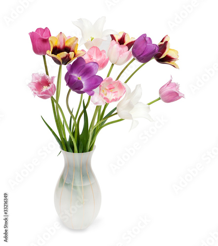 Wallpaper Mural bouquet of tulips on a white background Torontodigital.ca