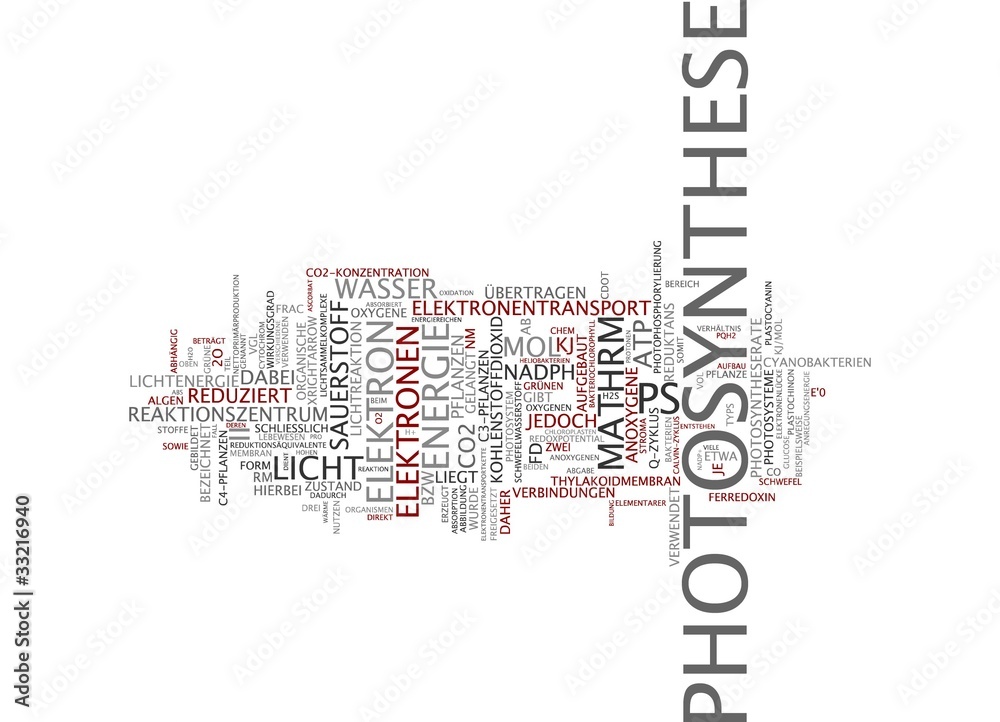 Photosynthese Photosynthese