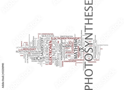Photosynthese