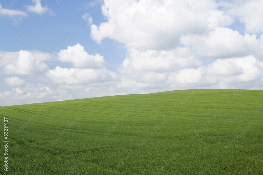 Windows XP Startbild