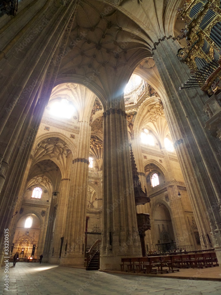 great indoors at Salamanca cathedral