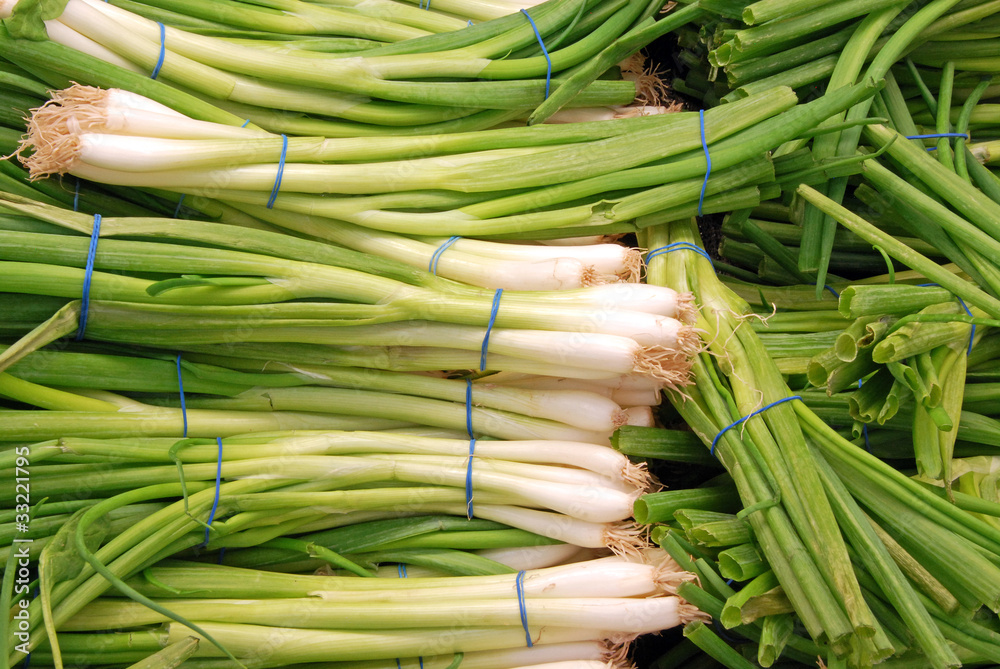backdrop of green onions