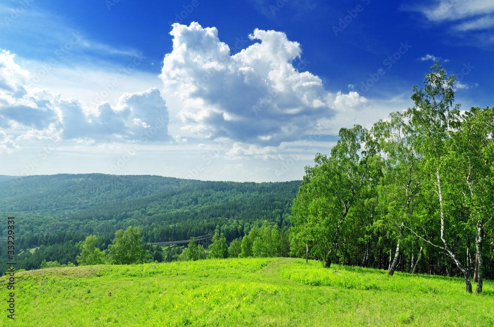 Fototapeta premium summer landscape