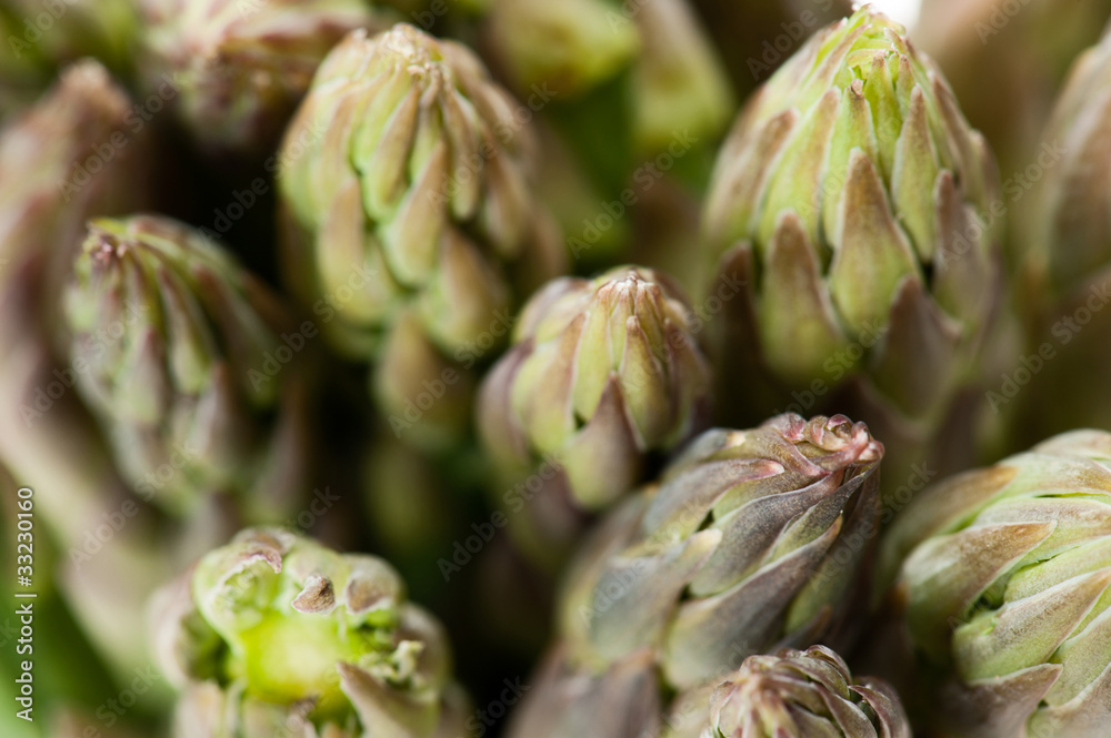 asparagus, close up asparagus, close up