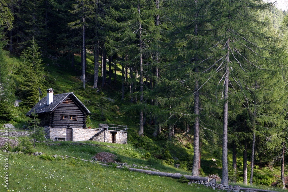 Chalet Alpino - Svizzera