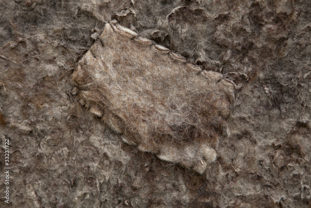 Obraz premium nomad yurt detail patch - thick woolen felt background