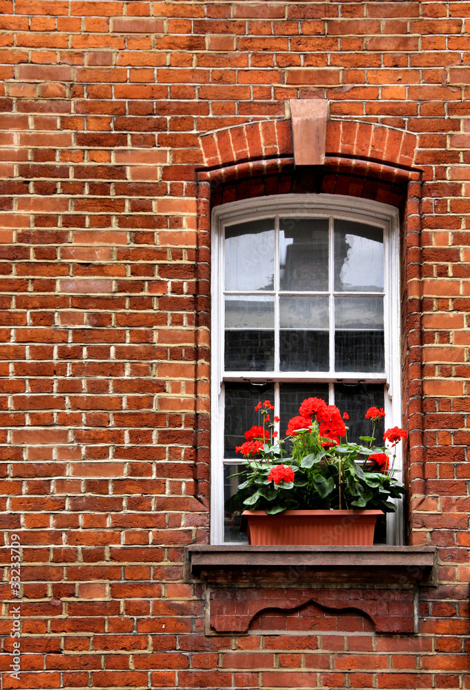 Naklejka premium Generium Window box in Brick Wall