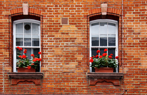 Red Geranium Window Box