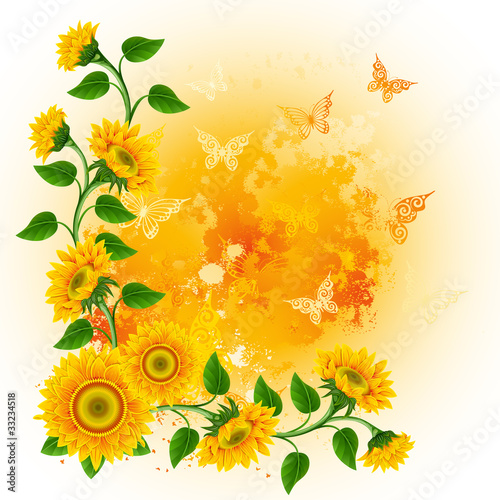 Fototapeta Naklejka Na Ścianę i Meble -  Background with sunflowers