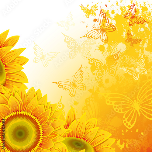 Fototapeta Naklejka Na Ścianę i Meble -  Background with sunflowers