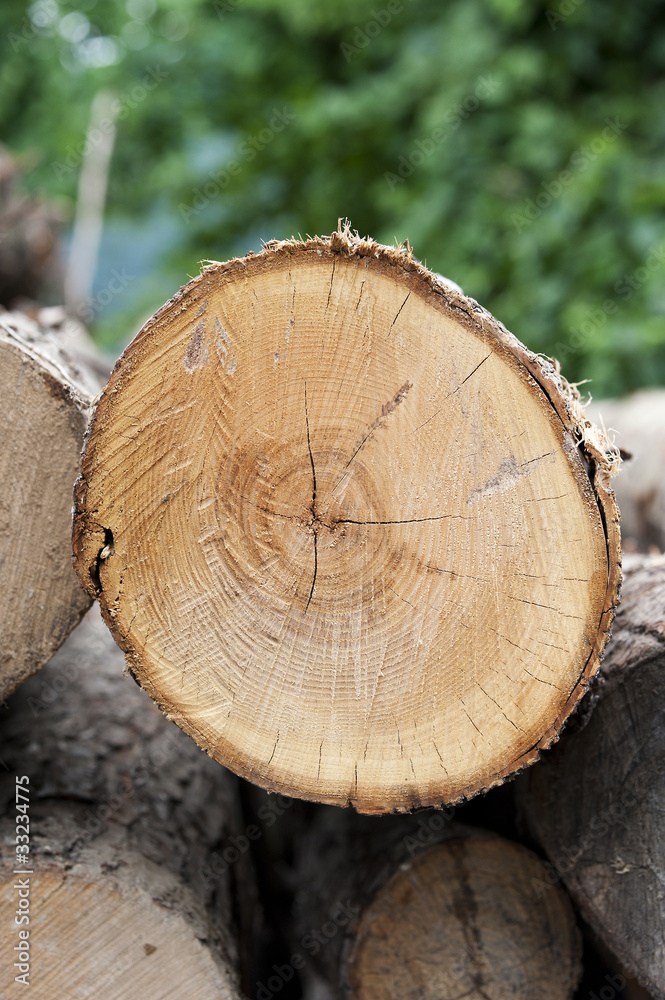 Naklejka premium Ottimo legno