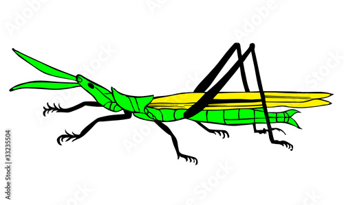 grasshopper vector