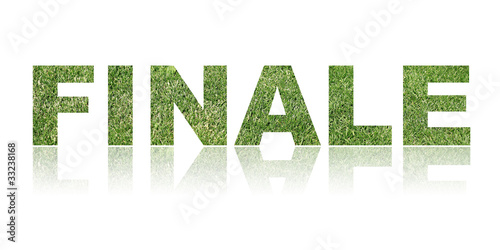 Bilde på lerret Gras Text Konzept - Fussball Finale