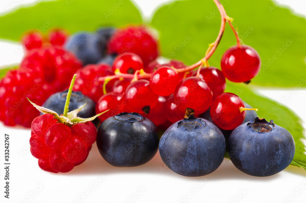 Berries Berries